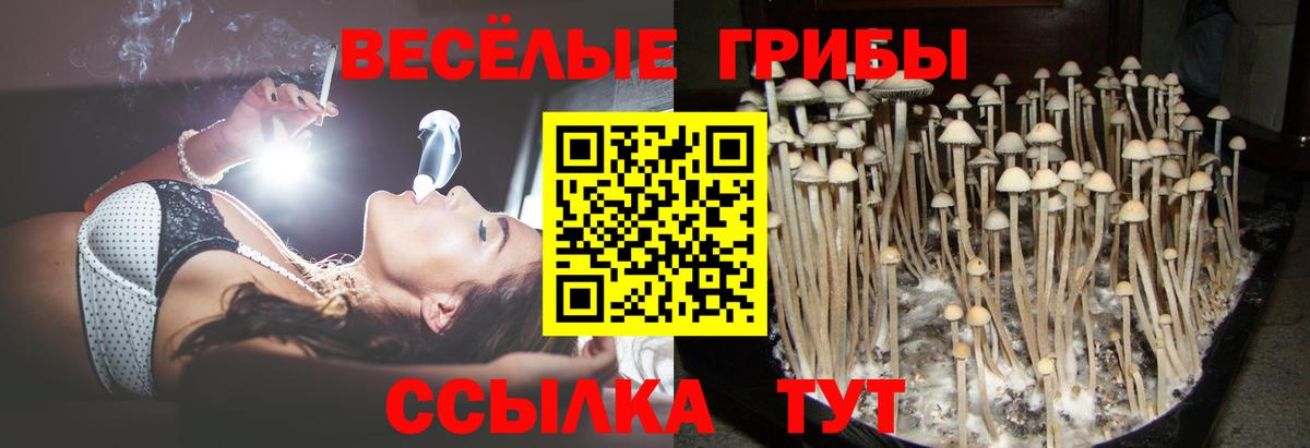 сколько стоит  Вход с VPN  Псилоцибиновые грибы Psilocybe  Мелеуз  Псилоцибиновые грибы Cubensis 